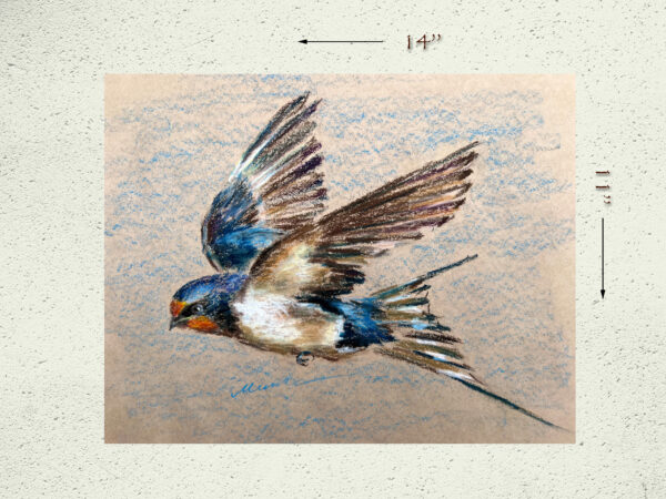 Swallow Painting Original Bird Art Flying Barn Swallow Oil Pastel Draiwing Gift Artwotk 11x14'' by Muura - Image 3