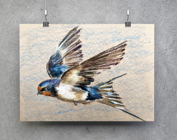 Swallow Painting Original Bird Art Flying Barn Swallow Oil Pastel Draiwing Gift Artwotk 11x14'' by Muura - Image 2