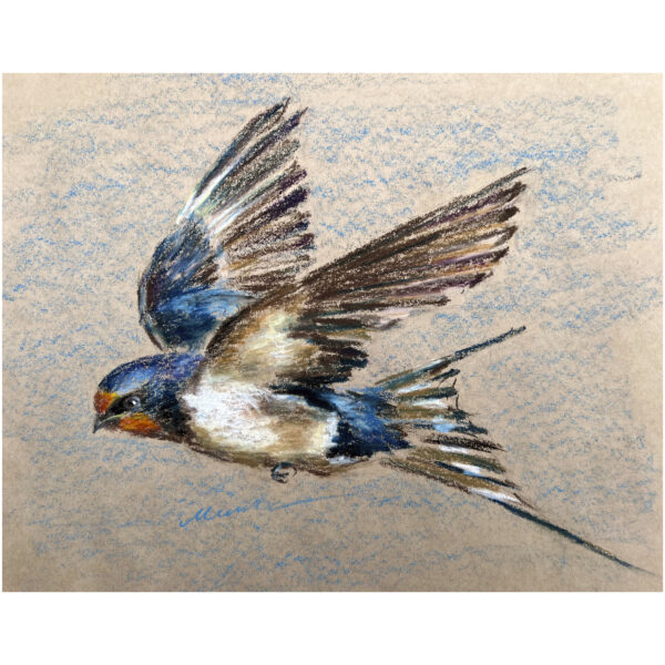 Swallow Painting Original Bird Art Flying Barn Swallow Oil Pastel Draiwing Gift Artwotk 11x14'' by Muura